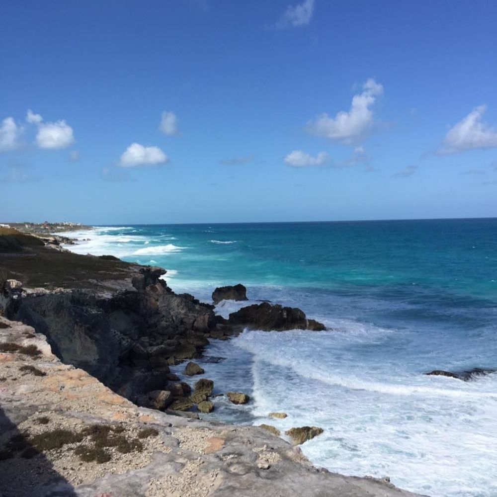 Meet your Posher, Leslie